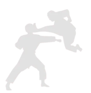 Defensa con ataque de patada de Hapkido.