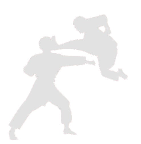 Defensa con ataque de patada de Hapkido.