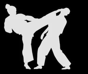 Silueta de mujer practicando Hapkido.