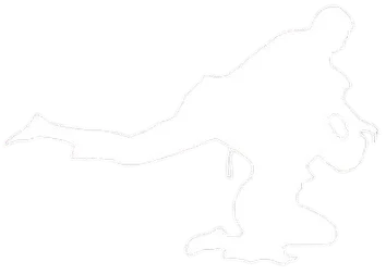 Silueta-de-proyección-de-Hapkido
